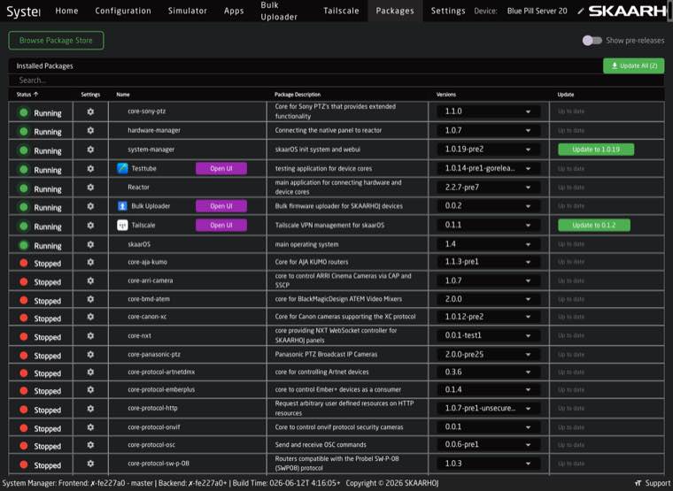 The SkaarOS Packages page listing the Tailscale package