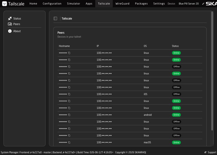 The Tailscale app Peers tab listing devices in the tailnet